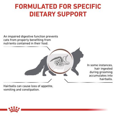 Royal Canin Gastro Intestinal Hairball Dry Food for Cats #5