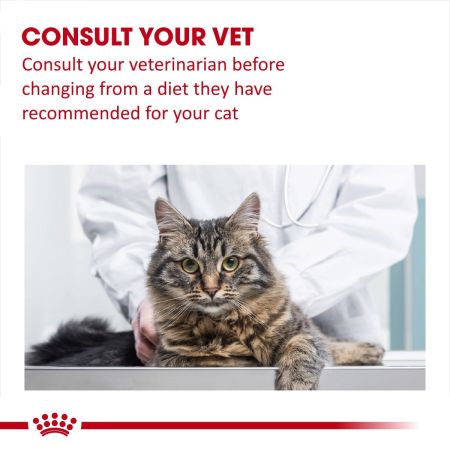 Royal Canin Mobility Dry Food for Cats 2kg #5