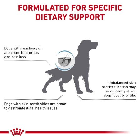 Royal Canin Skin Care Dry Food for Dogs #4