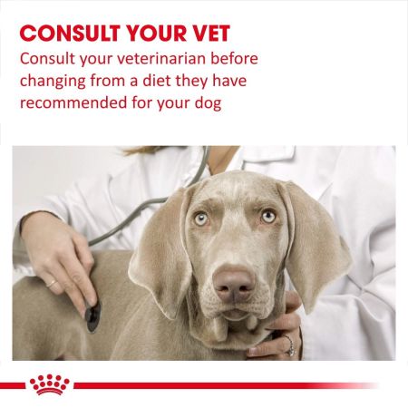 Royal Canin Dental Dry Food for Small Dogs #5