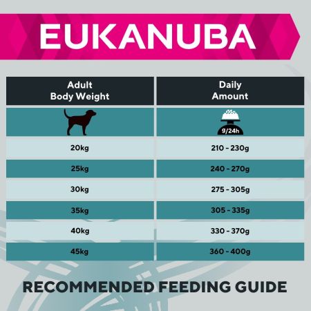 Eukanuba Breed Specific Labrador Retriever Adult Dry Dog Food 12kg #4