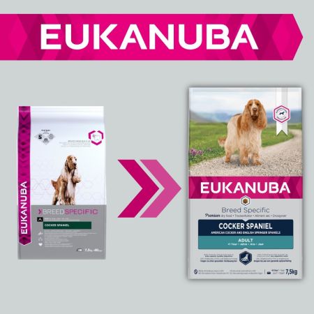 Eukanuba Breed Specific Cocker Spaniel Adult Dry Dog Food #2