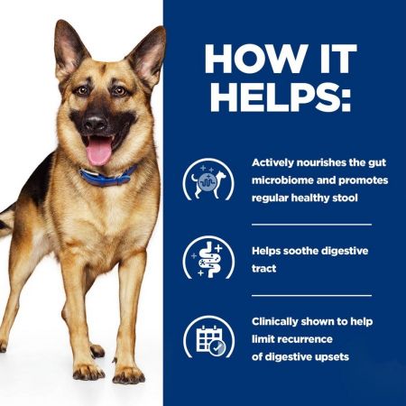 Hills Prescription Diet Gastrointestinal Biome Dry Food for Dogs #2