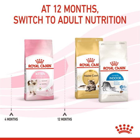 Royal Canin Kitten Dry Food #5