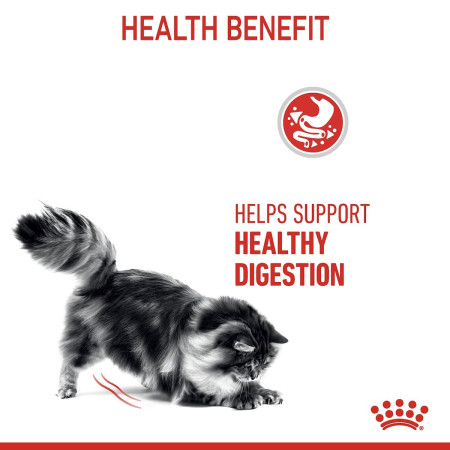 Royal Canin Digestive Care Adult Dry Cat Food #5