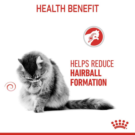 Royal Canin Hairball Care Adult Dry Cat Food #4