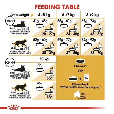 Royal Canin Maine Coon Adult Dry Cat Food #6