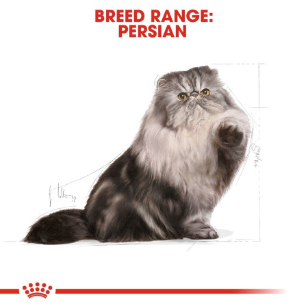 Royal Canin Persian Adult Dry Cat Food #6