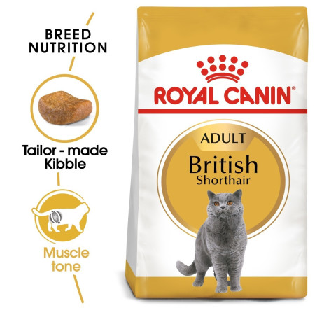 Royal Canin British Shorthair Adult Dry Cat Food