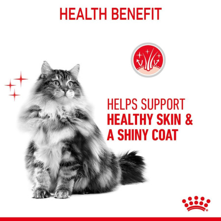 Royal Canin Hair & Skin Care Adult Wet Cat Food in Gravy #5