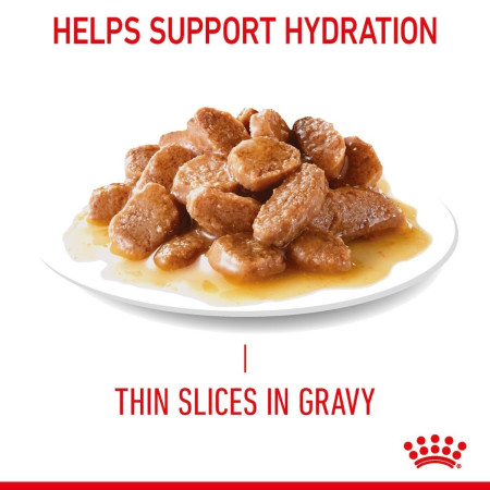 Royal Canin Urinary Care Adult Wet Cat Food in Gravy #6