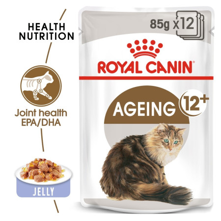Royal Canin Ageing 12+Senior Wet Cat Food in Jelly