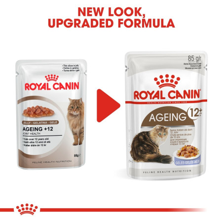 Royal Canin Ageing 12+Senior Wet Cat Food in Jelly #2