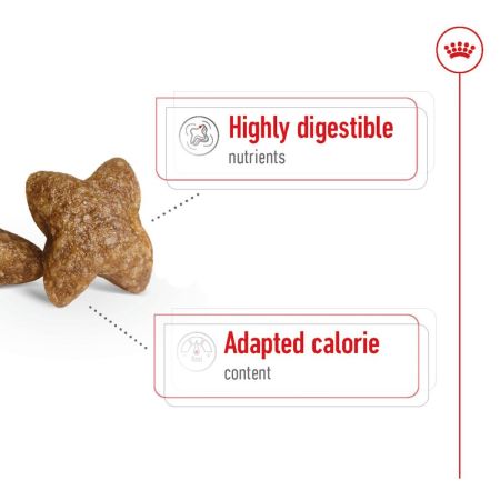 Royal Canin Mini Adult Dry Dog Food #4