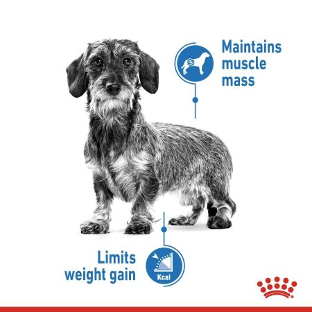 Royal Canin Mini Light Weight Care Dry Dog Food #4