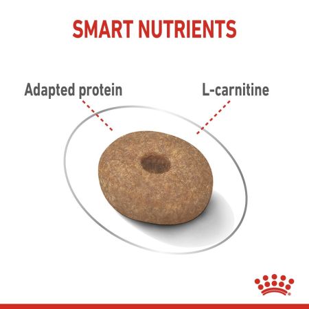 Royal Canin Mini Light Weight Care Dry Dog Food #5