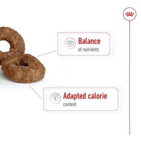 Royal Canin Mini Ageing 12+ Dry Dog Food #5