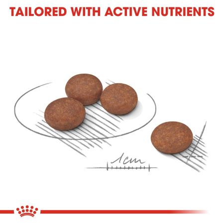 Royal Canin Mini Digestive Care Dry Dog Food #2