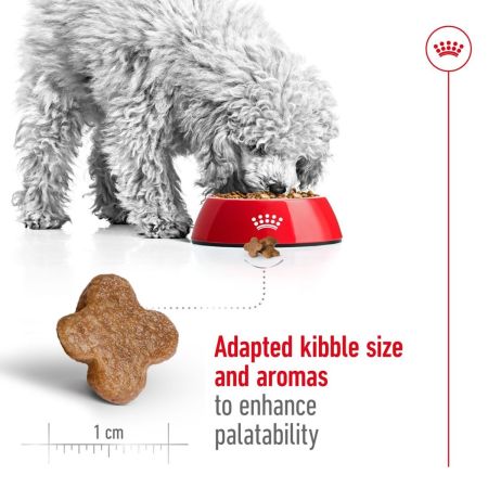 Royal Canin Mini Adult 8+ Dry Dog Food 2kg #5