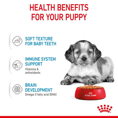 Royal Canin Medium Puppy Wet Food Chunks in Gravy #4