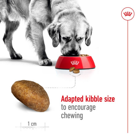 Royal Canin Maxi Adult Dry Dog Food #4