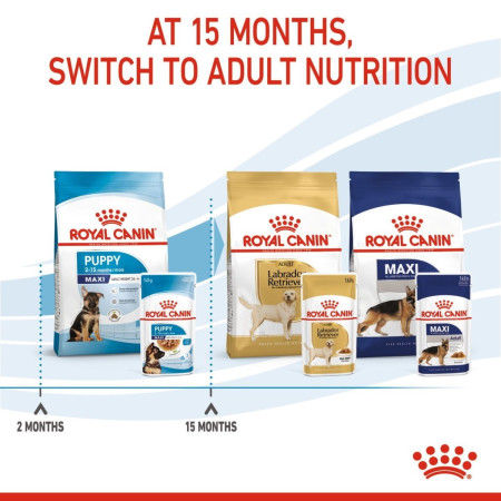 Royal Canin Maxi Puppy Wet Food Chunks in Gravy #6