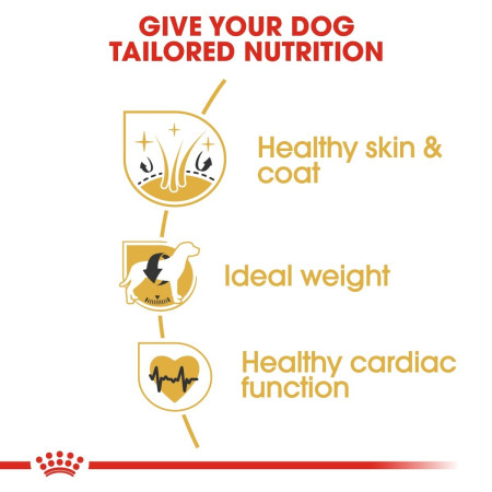 Royal Canin Cocker Spaniel Dry Adult Dog Food 3kg #4