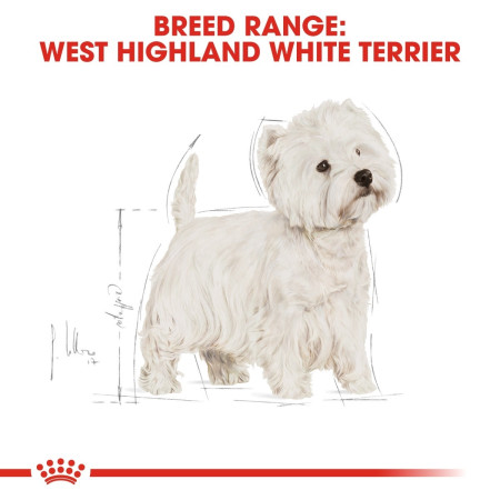 Royal Canin West Highland White Terrier Dry Adult Dog Food #5