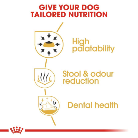 Royal Canin Chihuahua Dry Adult Dog Food #4