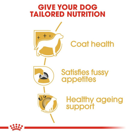 Royal Canin Yorkshire Terrier Dry Adult Dog Food #4