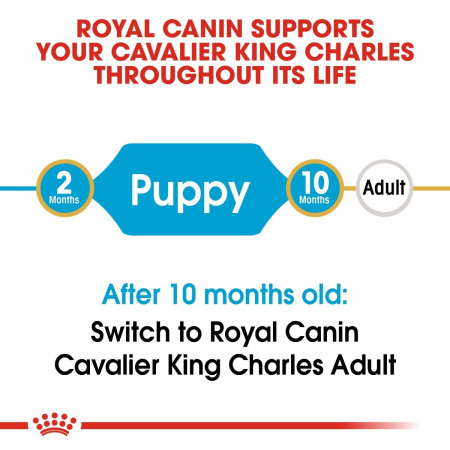 Royal Canin Cavalier King Charles Dry Puppy Food #5