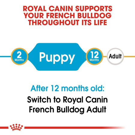 Royal Canin French Bulldog Dry Puppy Food #5