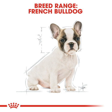 Royal Canin French Bulldog Dry Puppy Food #7