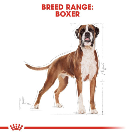 Royal Canin Boxer Dry Adult Dog Food 12kg #6